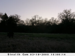 Insert farm_game_camera_01_2008_03_19_180614_300x225.jpg