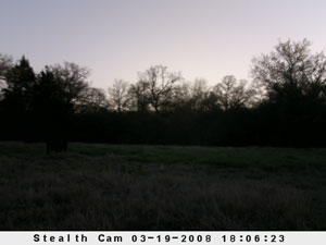 Insert farm_game_camera_01_2008_03_19_180623_300x225.jpg